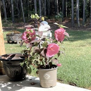 Meet your Posher, Keshia